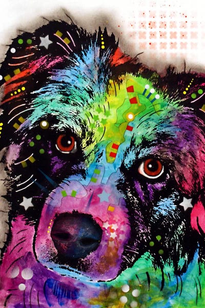 Australian Shepherds: Aussie by Dean Russo