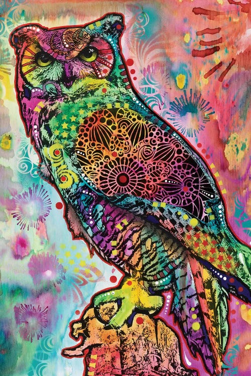 Wise Owl