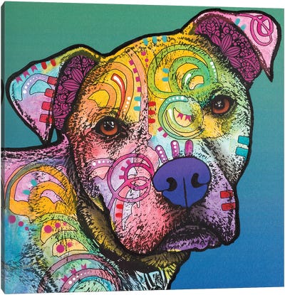 Zeus Love Canvas Art Print - American Pit Bull Terriers
