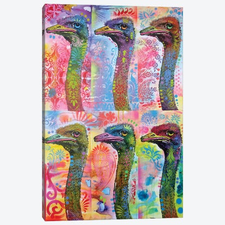 6 Ostriches Canvas Print #DRO564} by Dean Russo Art Print