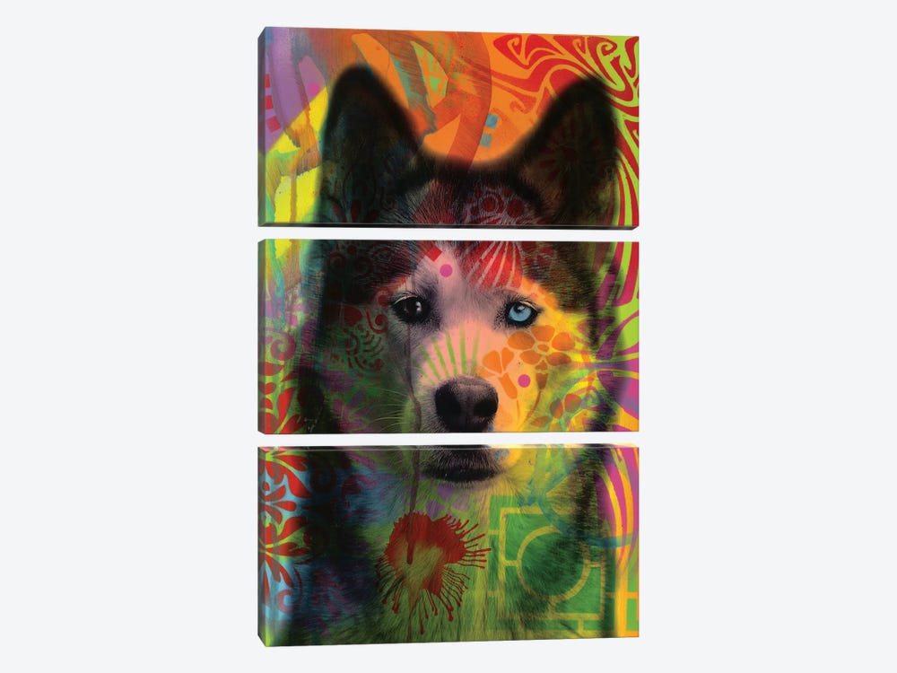Husky's Eye by Dean Russo 3-piece Canvas Art Print