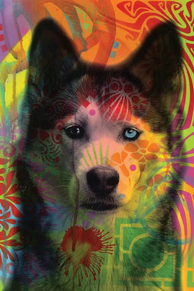 Siberian Huskies: Husky's Eye by Dean Russo