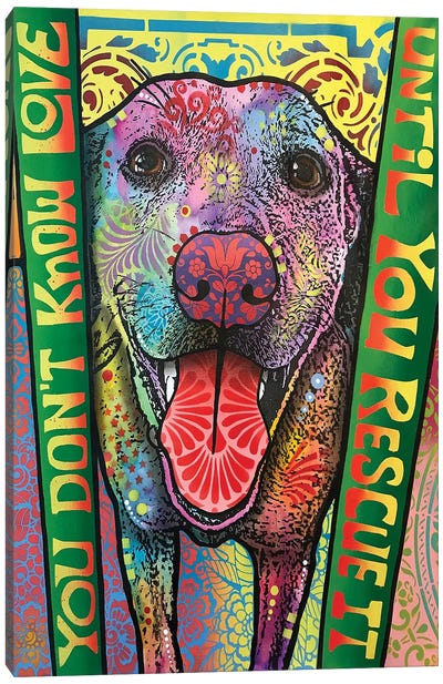 You Don't Know Love Canvas Art Print - Labrador Retriever Art