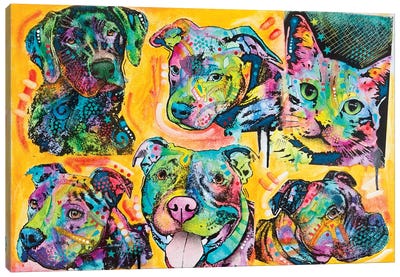5 Dogs And A Cat Canvas Art Print - Pit Bull Art