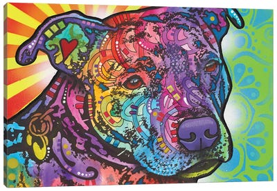 Bella II Canvas Art Print - American Pit Bull Terriers