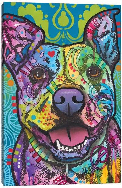 Butters, Pit Bull Canvas Art Print - American Pit Bull Terriers