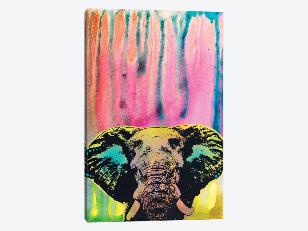Elephant 1-piece Canvas Wall Art