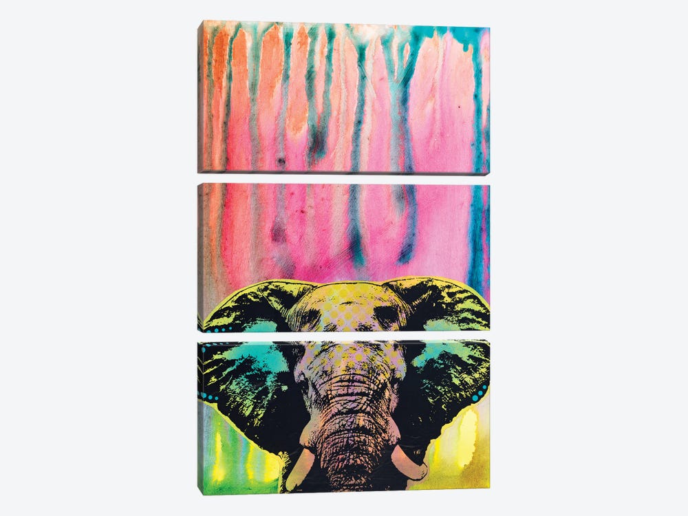 Elephant 3-piece Canvas Wall Art