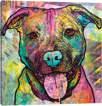 Hey Smile Canvas Art Print - American Pit Bull Terriers