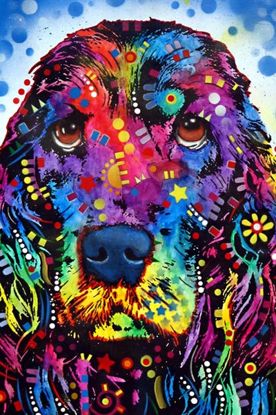 Dean Russo: Cocker Spaniel II by Dean Russo