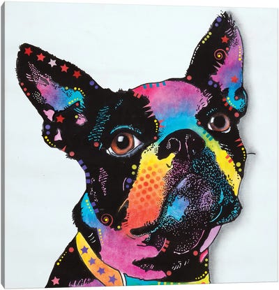 Serge Canvas Art Print - Boston Terriers