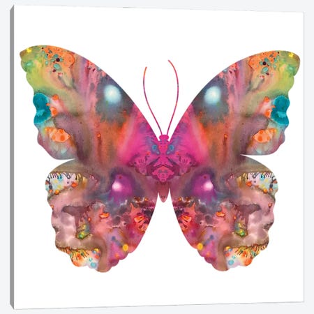Abstract I Butterfly Canvas Print #DRO653} by Dean Russo Canvas Wall Art