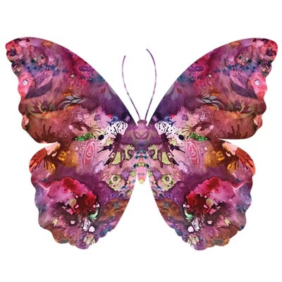 Cinematic Butterfly by Dean Russo framed wall art