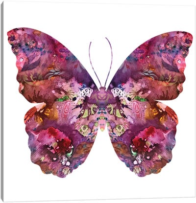 Cinematic Butterfly Canvas Art Print - Dean Russo