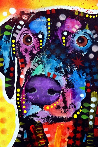 Doberman Pinschers: Dobie by Dean Russo