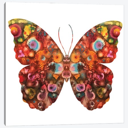 Kamasi Butterfly Canvas Print #DRO672} by Dean Russo Canvas Artwork