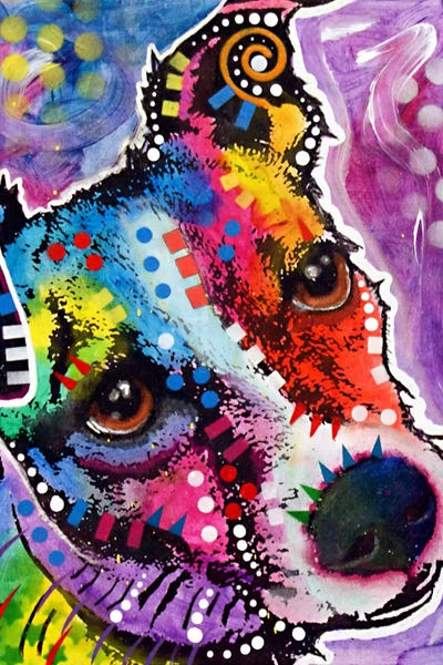 Terriers: Dreamy Jack by Dean Russo