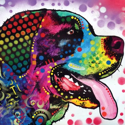 St Bernard Profile by Dean Russo canvas print