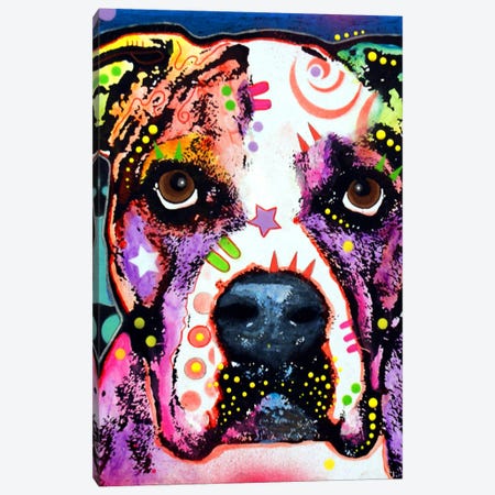 American Bulldog I Canvas Print #DRO6} by Dean Russo Canvas Art