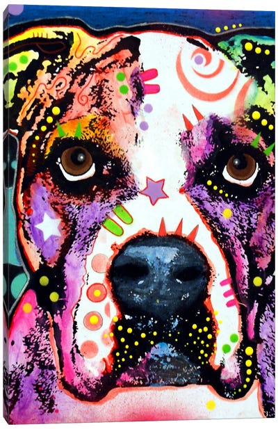 American Bulldog I Canvas Art Print - American Bulldogs