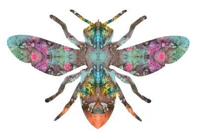 Transverse Bee by Dean Russo framed wall art
