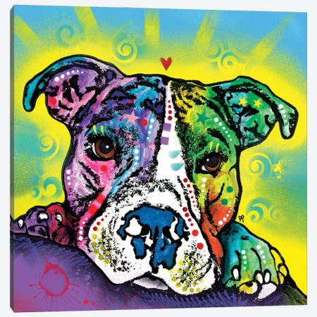 The Baby Pit Bull Canvas Print #DRO725} by Dean Russo Art Print