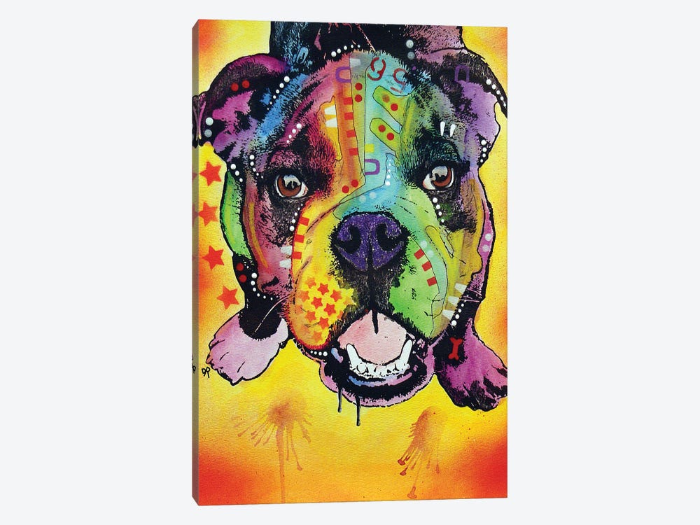 Baby Bulldog by Dean Russo 1-piece Canvas Print