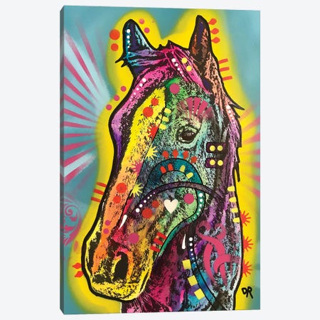 Gift Horse Canvas Print #DRO796} by Dean Russo Canvas Wall Art