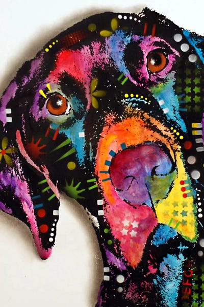 German Shorthaired Pointers: Pointer by Dean Russo