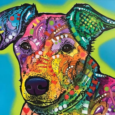 Shamus by Dean Russo framed wall art