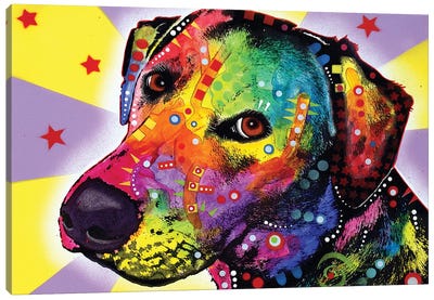 Yellow Sorta Lab Canvas Art Print - Labrador Retriever Art