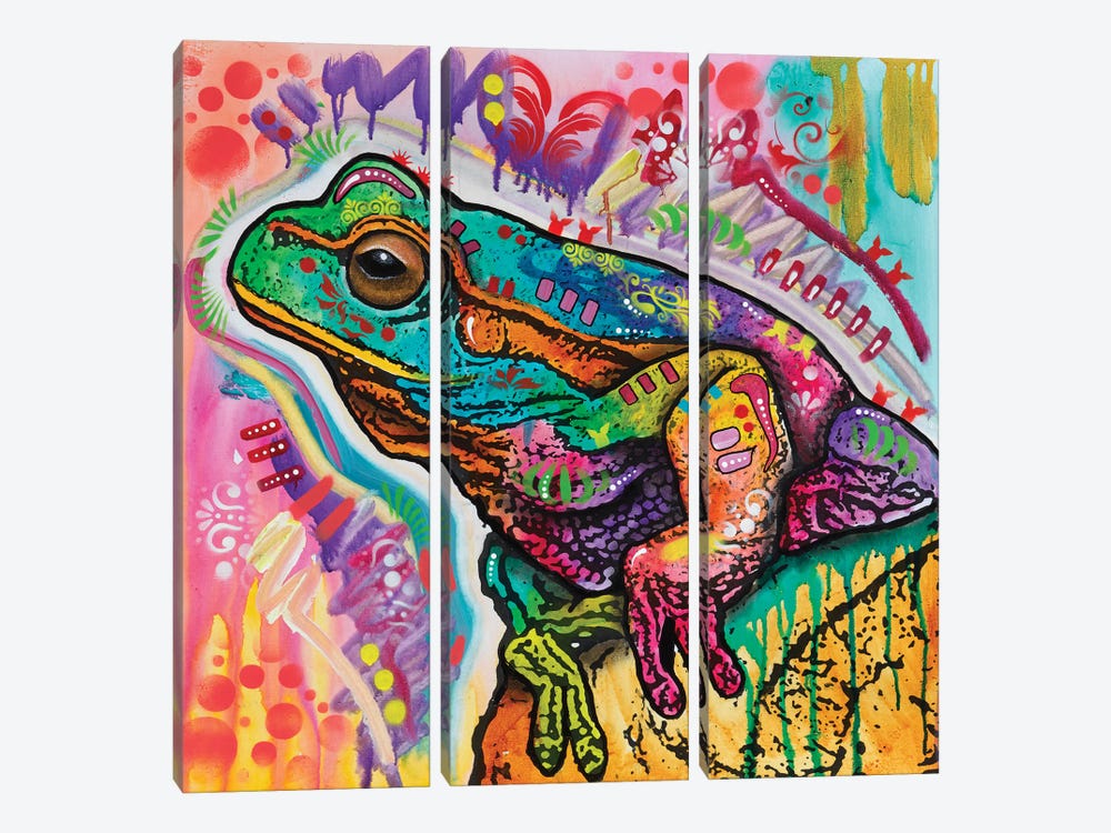 Psychedelic Frog by Dean Russo 3-piece Canvas Wall Art