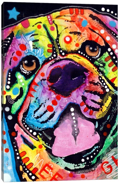 Bosco Canvas Art Print - American Bulldogs