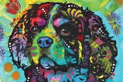 Cavalier King Charles Spaniels