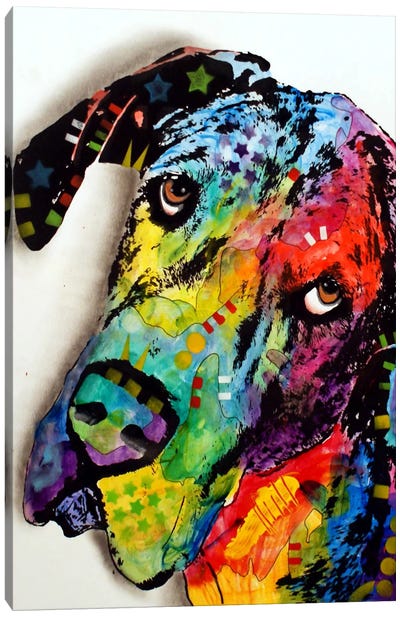 Tilted Dane Canvas Art Print - Best Selling Dog Art