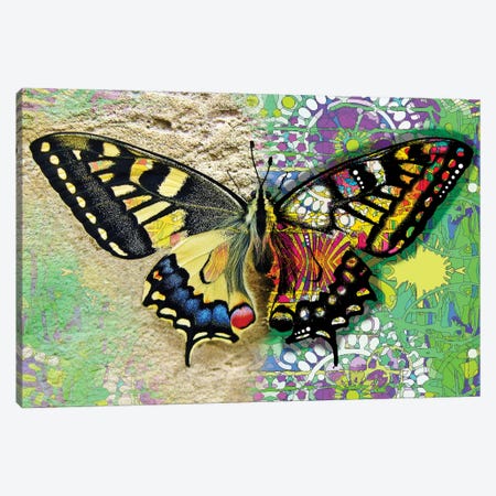 Exposed Butterfly Canvas Print #DRO921} by Dean Russo Canvas Wall Art