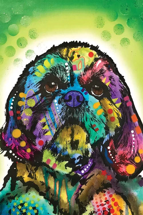 Kinda Shih Tzu by Dean Russo wall art