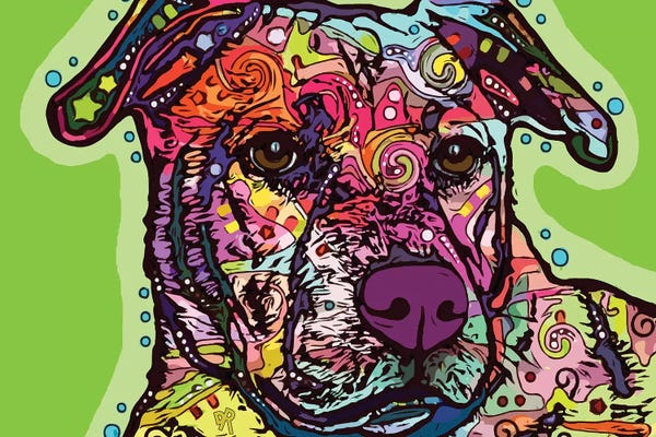 Pit Bulls: Look Of Love by Dean Russo