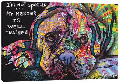 Not Spoiled Canvas Art Print - American Bulldogs