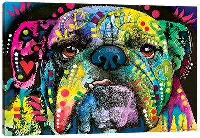 Straight On Bull Canvas Art Print - Bulldog Art