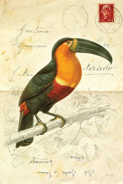 Deborah Revell: Pretty Bird I by Deborah Revell