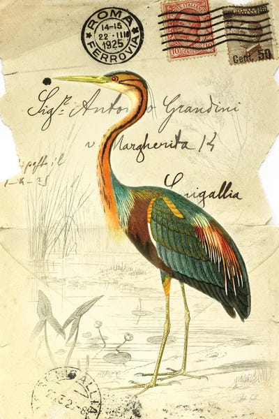 Pretty Bird II by Deborah Revell multi panel art