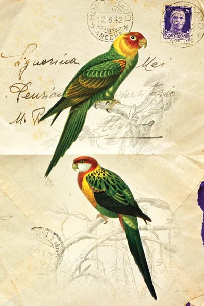 Parakeets: Pretty Bird III by Deborah Revell