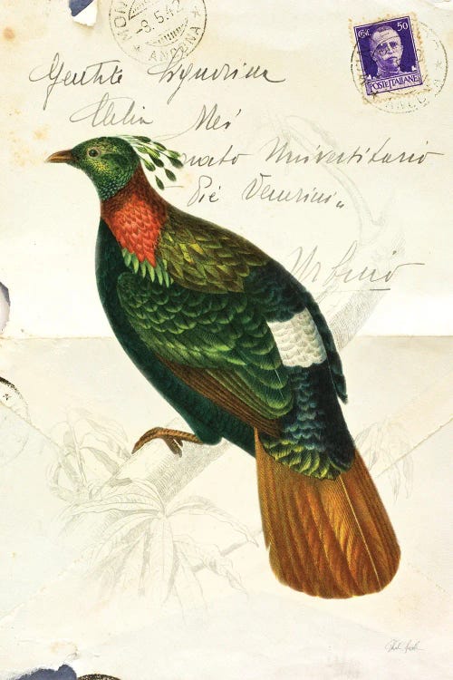 Pretty Bird IV