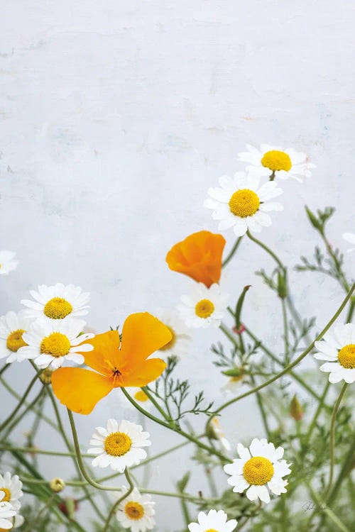 Daisies by Deborah Revell wall art