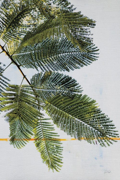 Palm Branch