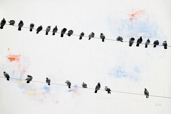 Deborah Revell: Birds On A Wire by Deborah Revell