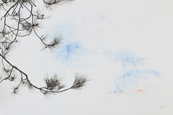 Deborah Revell: Sepia Fir by Deborah Revell