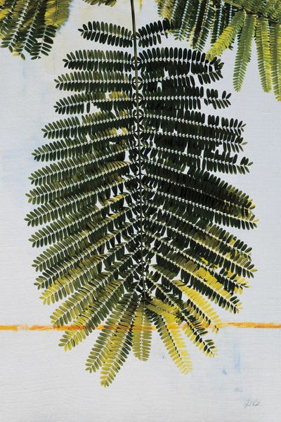 Deborah Revell: Single Palm by Deborah Revell