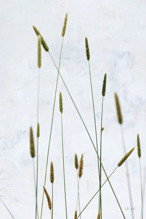 Timothy Grass by Deborah Revell wall art